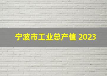 宁波市工业总产值 2023